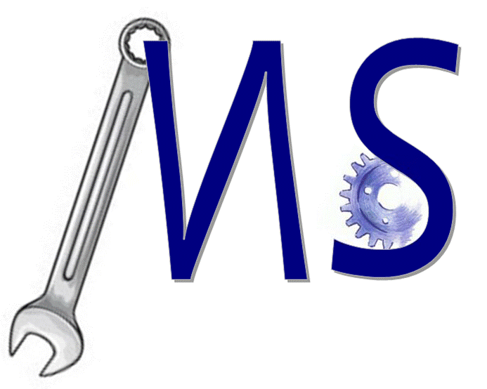 MS Logo